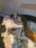 恒都 国产精选牛肉卷 1斤*4 冷冻 国产黄牛 谷饲牛肉 牛前腿肉 实拍图