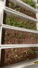 漫生活30L营养土赠4肥植物花土种菜养花土园艺盆栽种植土泥炭土多肉土 实拍图
