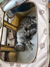 憨憨乐园伊丽莎白圈宠物耻辱圈狗狗猫咪猫头套项圈宠物脖套防咬圈用品7号 实拍图