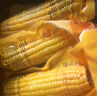 金沃瑞丰有机 大黄糯玉米棒260g*8支＞4.5斤 新鲜甜粘黏 非转基因早餐 实拍图