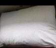水星家纺枕头枕芯酒店枕头护颈枕头芯家用单个纯棉抗菌可水洗中枕48x74cm 实拍图