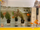 森森 小鲤鱼缸过滤器净水循环三合一内置水族箱过滤系统XQP-500F 6W 实拍图