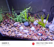 水医生硝化细菌鱼缸水族箱稳除氯气清澈剂净水分解粪便消化用品 鱼缸净水剂1000ml 实拍图