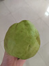 京鲜生 红心珍珠芭乐 番石榴 净重3斤 单果150g+ 生鲜水果水果礼盒 实拍图