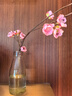 MONTES【蒙特斯官旗】智利原瓶进口红酒 蒙特斯montes经典系列750ml 马尔贝克红葡萄酒整箱装 实拍图
