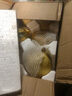 安徽正宗砀山酥梨梨子酥脆当季新鲜水果香梨脆雪梨特产整箱包邮 净重8.5斤【酥脆一号-口感更脆甜 实拍图