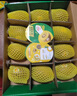 佳沛（zespri）新西兰  阳光金奇异果25-27粒原箱特大果单果约122-146g  猕猴桃 实拍图