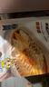 三都港 醇香黄鱼鲞350g/2条装 三去黄鱼 烧烤食材生鲜鱼类  实拍图