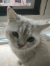 麦富迪猫粮 冻干鲜粮三文鱼鸡肉全期猫粮 1.8kg 实拍图