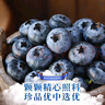 寻良万亩云南蓝莓【空运-多地次日达】超大果花香蓝莓新鲜水果送礼品物盒 4盒 金钻品质果【100-125g/盒】 【万莓挑一】单果14mm+ 实拍图