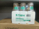 农夫山泉东方树叶桂花乌龙茶335ml*24瓶无糖茶饮料0糖0脂0卡整箱装 实拍图