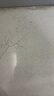 神鱼（SHENYU）荧光剂检测灯笔365nm紫外线紫光验钞灯检测钱币小手电筒 实拍图