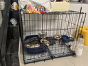 憨憨宠 狗笼猫笼 狗笼子小型犬带厕所幼犬折叠便携猫笼子宠物笼具兔笼 黑色 前出盘狗丝笼 70*50*60cm 实拍图