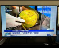 飞利浦（PHILIPS）43英寸全高清智慧屏 卧室小屏 超宽环绕立体声 智能液晶平板电视机 43PFF6590/T3 国家补贴15% 实拍图