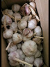 京喜自营大蒜头紫白皮大蒜京东买菜生鲜调料即食凉拌大蒜 【优选】净重 1斤 单果3.5-5cm 实拍图