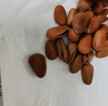 百草味 东北松子500g 坚果量贩手剥开口原味干果每日坚果礼物送礼 实拍图