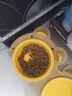 鲜朗低温烘焙猫粮 鸡肉配方幼猫成猫奶糕无谷全价猫粮鲜郎 【鸡肉配方】猫粮2kg 实拍图