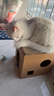 加仕高猫抓板窝瓦楞纸猫窝耐磨一体猫房子大号多猫封闭式双层猫咪纸箱屋 实拍图