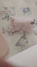 Jellycat小猪可爱公仔动物毛绒玩偶小玩偶送礼娃娃生日婚礼礼物 粉红色 Little 实拍图