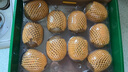 佳沛（zespri）新西兰  阳光金奇异果10粒礼盒巨大果单果约144-175g 水果 猕猴桃 实拍图