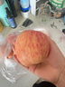 京鲜生 山东栖霞红富士苹果精品12粒 单果190g-240g  生鲜水果 礼盒 实拍图