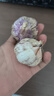 紫白皮蒜水果大蒜超市即食生鲜蔬菜大蒜 干蒜3头 50g 单果3.5-5cm 实拍图