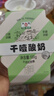 和润干噎酸奶 0蔗糖 100g 13.7g高蛋白 网红干巴酸奶 低温酸奶 实拍图