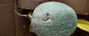 正宗脆甜西州蜜哈密瓜现摘头茬蜜瓜新鲜当季水果现摘水果 9斤【净重8.5斤】3-5个 精选装 实拍图