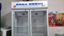 雪花大容量饮料柜商用冰柜直冷藏展示柜酒水柜纯风冷无霜保鲜柜超市玻璃门冰箱立式啤酒柜  大双门丨下机标准款【铜管丨风直冷减霜】 实拍图