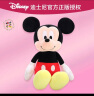 迪士尼（Disney）毛绒玩具米老鼠公仔玩偶抱枕布娃娃生日520情人节礼物女 米妮30cm 实拍图