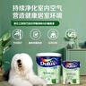 多乐士（Dulux）致悦竹炭抗甲醛五合一净味室内乳胶漆墙面抗菌油漆涂料白色 A8146 单桶 白漆 不可调色 5L*1件 实拍图