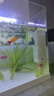 松宝（sobo）鱼缸过滤器内置三合一过滤增氧系统水族箱养鱼循环水泵氧气泵 15W 实拍图