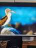 三星（SAMSUNG）4K分辨率 144Hz高刷新率内置音箱IPS电竞游戏显示器HDR400电脑办公设计升降旋转竖屏 新品32英寸4K144Hz- S32DG702EC 实拍图