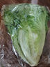 散叶生菜约400g 实拍图