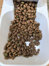 獒少保宠物自动喂食器猫碗猫食盆自动喝水投食器猫咪饮水机喂水用品 喂食器+饮水机套装 3.8L水+2.1kg 实拍图