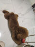 麦富迪（Myfoodie）狗零食 狗狗磨牙棒耐咬小型犬幼犬 宠物零食鸭肉卷夹心牛皮 180g 实拍图