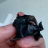 宝姿莱撕拉式吸去黑头面膜套装清洁黑头鼻导出竹炭贴泥膜男女士涂抹面膜 实拍图