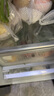 佳沛（zespri）新西兰  阳光金奇异果25-27粒原箱特大果单果约122-146g  猕猴桃 实拍图