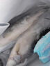 裕琳珑 海鲈鱼 新鲜海捕整条活冻七星海鲈鱼 海鲜水产生鲜 鱼类 整条海鲈鱼3条装(0.7-1斤/条) 实拍图