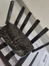 普联（TP-LINK）大道路由器7DR6430 BE6400 5G WiFi7千兆双频家用高速穿墙 2.4G wifi6无线 2.5G网口 游戏加速 实拍图
