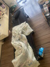 甄严选折叠床单人午休床折叠躺椅家用办公室午睡床简易行军床医院陪护床 圆管沉稳黑178*56【店长推荐】 实拍图