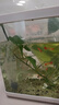 森森鱼缸增氧泵水族箱氧气泵LQE-100家用小型充氧泵4W单孔+全套配件 实拍图