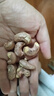 百草味 罐装紫皮腰果500g 盐焗炭烧零食带皮特大每日坚果 送礼 实拍图
