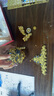 拼酷（piececool）凤冠 十里红妆3d立体拼图金属模型手工diy生日情人节礼物送女朋友 实拍图