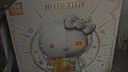 TOP TOY三丽鸥HelloKitty凯蒂猫白金大体积木拼装家居装饰女孩生日礼物 实拍图
