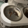 霍曼（Homerun）宠物智能自动喂食器猫粮狗粮定时猫咪自动投食机不锈钢双碗增高版 实拍图