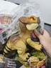 Jurassic World生日礼物侏罗纪世界：重生大电影萌宠怒吼恐龙多洛丝小洛JGC01 实拍图
