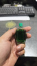 团购立减】水仙牌风油精9ml 9毫升大瓶清凉止痛止痒晕车 蚊虫叮咬驱风 20瓶装 实拍图