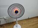 夏普空气循环扇电风扇落地扇自动摇头直流变频轻音无躁台立两用智能语音遥控定时换气扇对流涡轮扇 PJ-FD405A-M 【净化+可调高度+三色灯】 实拍图
