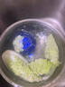 东菱（Donlim）升级转转果蔬清洗机 除菌除农残自动洗菜机 洗菜消毒神器 无线便携清洗机DL-1326 DL-1326【蓝色】 实拍图